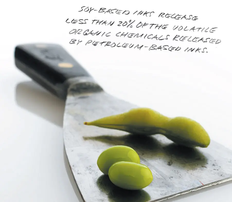 Sustainability2 Green Initiative